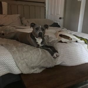 Meet your Posher, Nayah